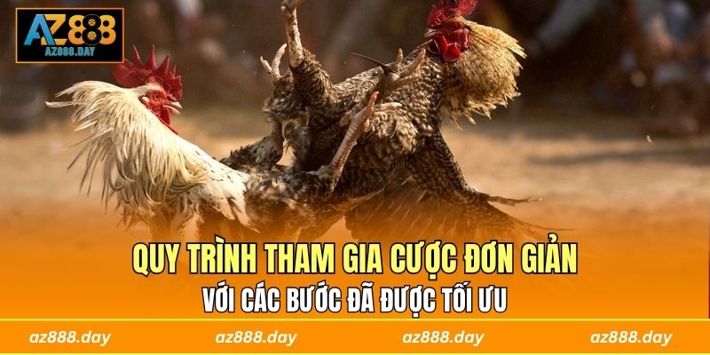 Quy trình tham gia cược đơn giản với các bước đã được tối ưu