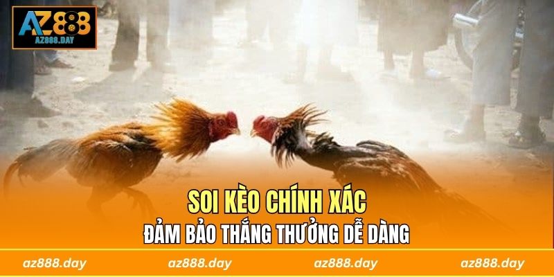 Soi kèo chính xác đảm bảo thắng thưởng dễ dàng